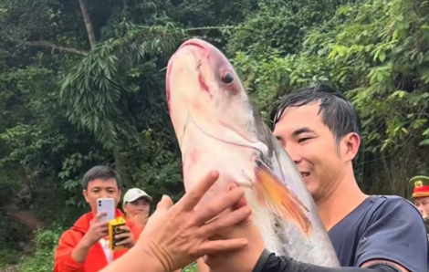 Đổ xô săn cá ‘khủng’ tại hồ Trị An