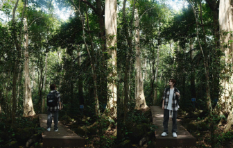 Trải nghiệm đạp xe khám phá vườn Quốc gia Nam Cát Tiên