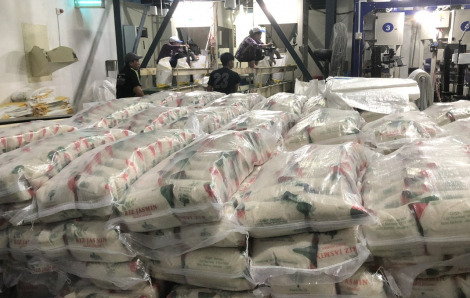 Giá gạo thế giới giảm sâu, xuất khẩu Việt Nam chịu sức ép lớn