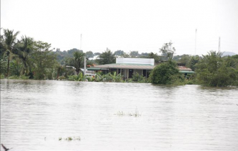 Hơn 1.700 căn nhà ở Lâm Đồng bị ngập do mưa lũ