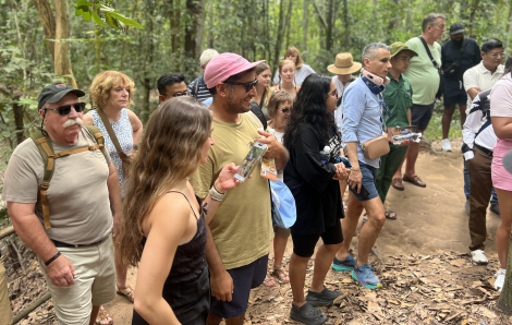 Phú Quốc được khách du lịch tìm kiếm nhiều nhất dịp cuối năm