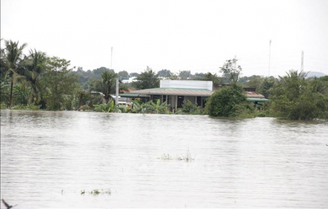 Hơn 1.700 căn nhà ở Lâm Đồng bị ngập do mưa lũ