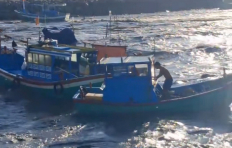 Lâm Đồng: Tàu cá bị cuốn trôi, hư hại do lũ đổ về