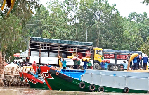 3 lần lập biên bản vẫn chưa xử lý xong vụ lập bến bãi không phép ở An Giang