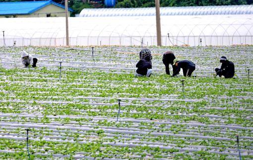 Người lao động dễ tổn thương trước những bất công