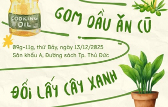 Những mầm xanh đổi lấy niềm hy vọng...