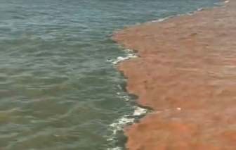 Nước biển hai màu kéo dài hàng chục km ở Cà Mau