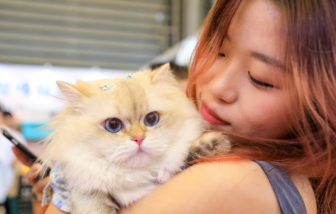 Giới trẻ Trung Quốc tằn tiện với mình - chi khủng cho thú cưng