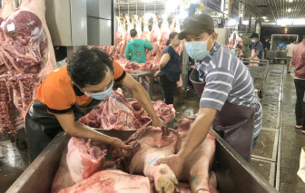 Không lo thiếu thịt heo dịp tết