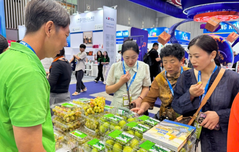 Trầm hương, yến sào... xịn bán trực tiếp tới người tiêu dùng TPHCM