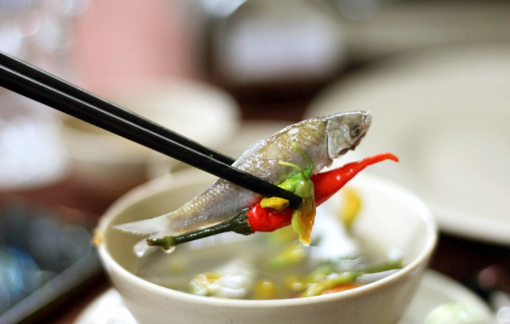 Cá linh sông mình