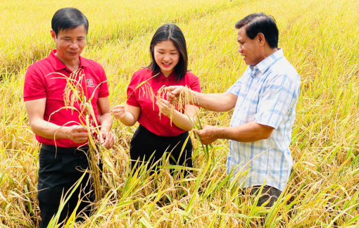 TP Cần Thơ đặt mục tiêu tăng trưởng năm 2026 từ 10 -10,5%