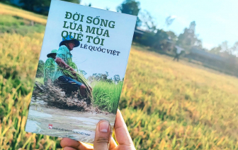 Giá trị tiềm ẩn từ văn hóa đồng bằng