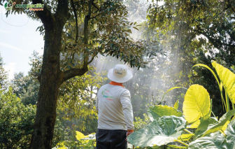 Map Pacific Singapore với giải pháp sinh học: Tương lai của ngành bảo vệ thực vật