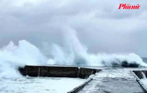 Bản tin tổng hợp ngày 8/12: Dự án “Nuôi Em” dính lùm xùm; Áp thấp nhiệt đới gây sóng to gió lớn