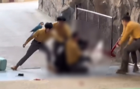 Gấu tấn công người huấn luyện