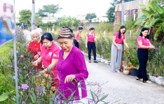 Nông thôn thêm khang trang nhờ đường hoa của hội