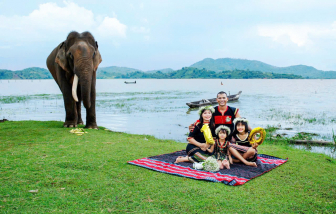 Voi chọn người nhà