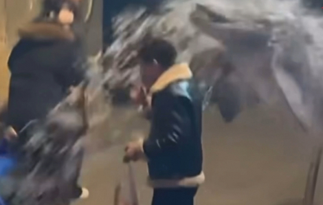 Cá heo phun nước vào người đàn ông hút thuốc trong thuỷ cung