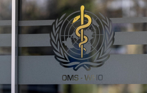 Hơn 100 người thiệt mạng trong các vụ tấn công vào trường mẫu giáo ở Sudan