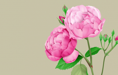 Truyện ngắn - Tìm lại dấu xưa