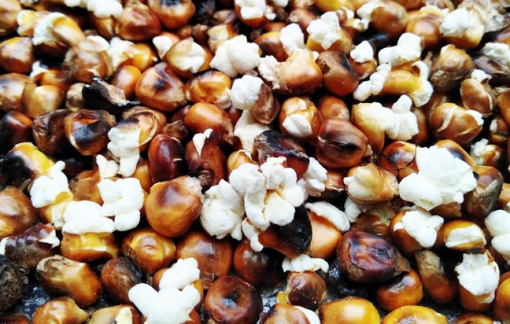 Mùi nhớ - Ngô rang đêm trở gió