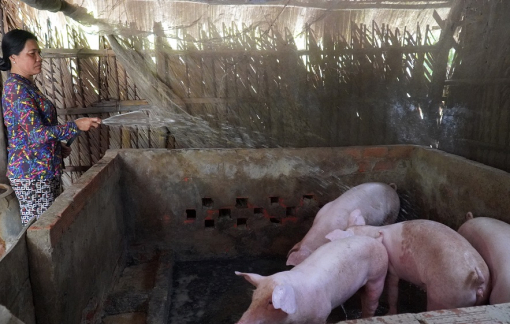 Hội Phụ nữ An Giang góp phần giúp hội viên thoát nghèo