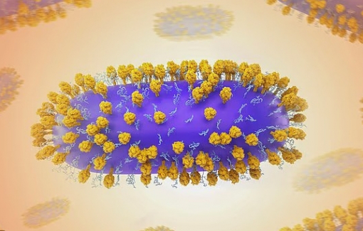 Vi rút cảm lạnh thông thường có thể làm tăng nguy cơ mắc bệnh tim nghiêm trọng