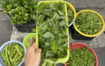 Chọn tiêu dùng xanh giữa cơn lốc mua sắm