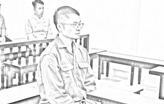 Lãnh 8 năm tù vì dụ người nước ngoài góp vốn đầu tư rồi chiếm đoạt tiền