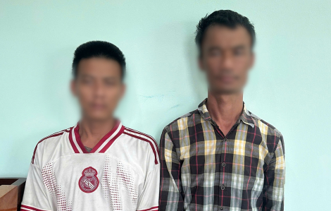 Bắt hai đối tượng ném gạch vào nhà dân ở TPHCM