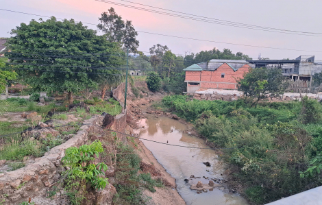 Phú Quốc xem xét xử lý hình sự hành vi cố ý kê khai đăng ký đất đai không trung thực