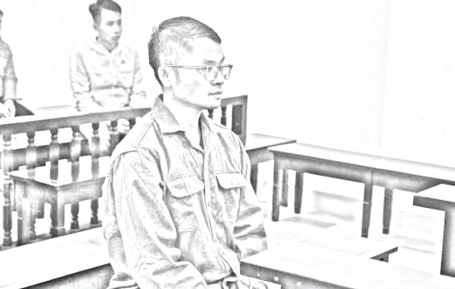 Lãnh 8 năm tù vì dụ người nước ngoài góp vốn đầu tư rồi chiếm đoạt tiền