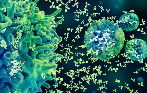 Phòng ngừa ung thư cổ tử cung cần tiêm phòng đủ liều, đúng lịch