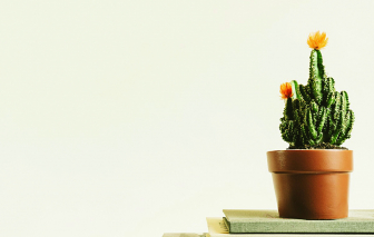 Truyện ngắn - Mong manh như khói