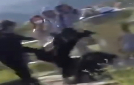 Sở Giáo dục và Đào tạo lên tiếng vụ nữ sinh lớp 10 bị đánh hội đồng