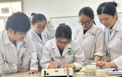 Đại học Quốc gia TPHCM sẽ miễn học phí và cấp học bổng cho 100% nghiên cứu sinh