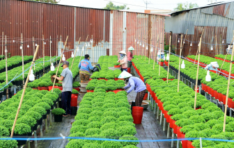 Miền Tây: Tất bật chuẩn bị hàng hóa phục vụ tết