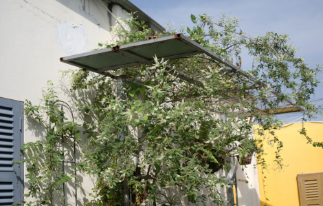 Cho đồ vật vòng đời dài hơn