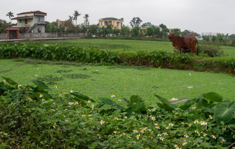 Đi nửa đời người, tôi càng thấm thía nỗi vất vả của ba mẹ