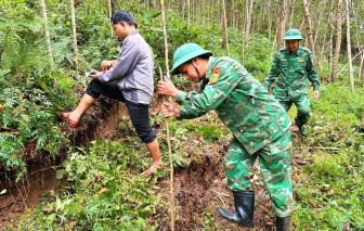 Một quả đồi nứt toát, Đà Nẵng công bố tình huống khẩn