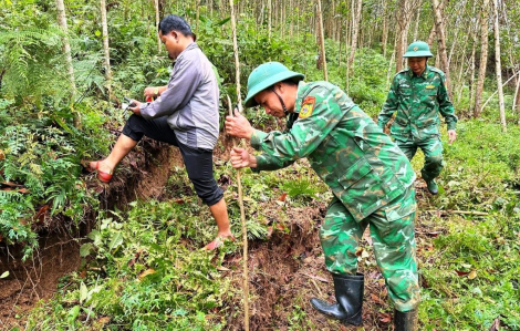 Một quả đồi nứt toác, Đà Nẵng công bố tình huống khẩn