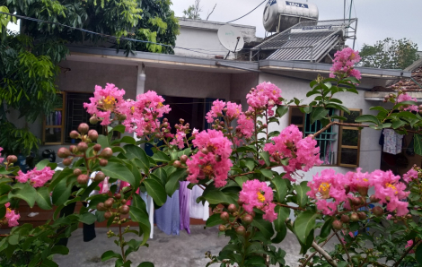 Tiết kiệm điện và sử dụng năng lượng hợp lý