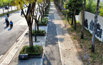 Làn riêng cho xe đạp đầu tiên ở TPHCM đã lộ diện