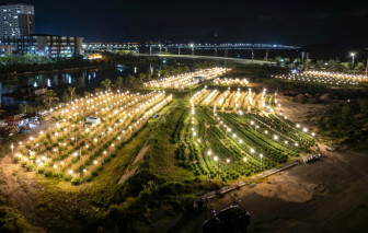 Sức sống mới trên những cánh đồng sau lũ dữ ở miền Trung