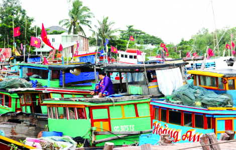 TPHCM: Nhiều giải pháp ngăn khai thác hải sản bất hợp pháp