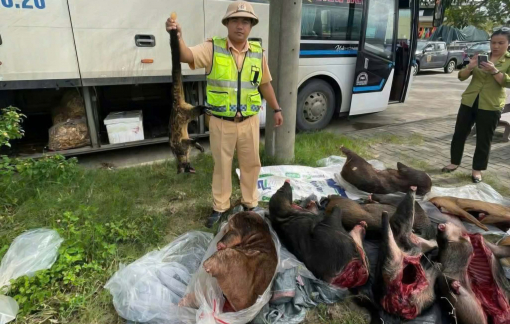 Phát hiện ô tô khách ở Đà Nẵng chở thịt động vật quý hiếm