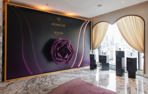 Synactif - Thời khắc của những đóa hồng