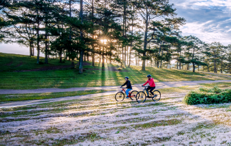 Săn cỏ hồng Đà Lạt mùa cuối năm