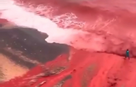 Nước biển bị nhuộm đỏ khiến nhiều người bất ngờ